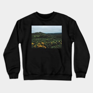 Morning Hours in Dartmoor NP Crewneck Sweatshirt